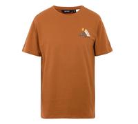 Regatta Mens Cline IX Mountain T-Shirt