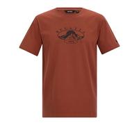 Regatta Mens Cline IX Mountain T-Shirt (Brick Red) - Size 4XL