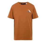 Regatta Mens Cline IX Mountain T-Shirt (Glazed Ginger) - Orange - Size 4XL
