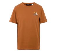 Regatta Mens Cline IX Mountain T-Shirt4XL Glazed Ginger RG12257