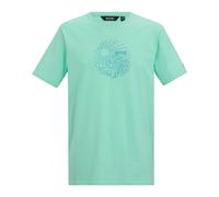 Regatta Mens Cline IX Sea Wave T-Shirt - Ice Green - Ice Green - 3XL