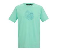 Regatta Mens Cline IX Sea Wave T-Shirt - Ice Green - Ice Green - 4XL