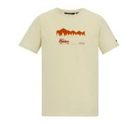 Regatta Mens Cline IX Wilderness T-ShirtL White Stone RG12455