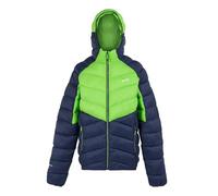 Regatta Mens Dalent Lightweight Hooded Padded Jacket, Insulated & Water Repellent - Perfect for Outdoors, Walking, Hiking & Camping