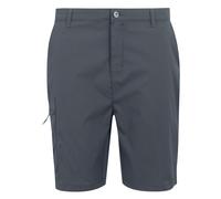 Regatta Mens Dalry Multi Pocket Shorts - Seal Grey - Seal Grey - 36R