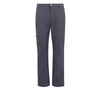 Regatta Mens Dalry Multi Pocket Trousers - Seal Grey - Seal Grey - 32L