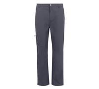 (36L, Seal Grey) Regatta Mens Dalry Multi Pocket Trousers