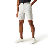 Regatta Mens Dalry Shorts Silver Grey