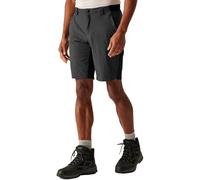 Regatta Eldes Shorts: Ash/Black: 42W Size: 42W, Colour: Ash/Black