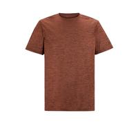Regatta Mens Fingal Edition Marl T-Shirt (Brick) - Brown - Size 3XL