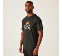 Regatta Men's Fingal Stretch T-shirt Grey, Size: XL