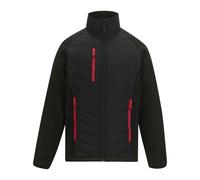 Regatta Mens Full Zip Padded Jacket - Black/Classic Red - L - Black/Classic Red - 100% Mixed