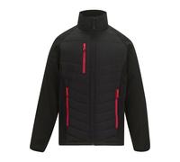 Regatta Mens Full Zip Padded Jacket RG12390