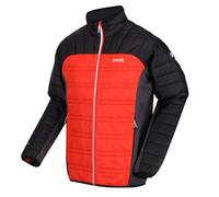 Regatta Men's Halton V Jacket, Cajun Orange/Black/Rhino, L