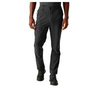 Regatta Highton Ii Pants Grey 44 / Regular Man