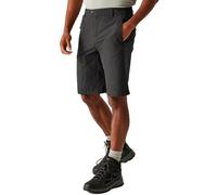 Regatta Mens Highton Long Shorts, Water Repellent & Multi Pocketed Outdoor Active Walking Shorts - Perfect for Hiking & Camping Grey