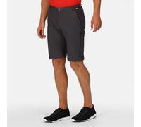 Regatta Highton Long Walking Shorts: Seal Grey: 30 Size: 30, Colour: S