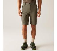 Regatta Mens Highton Long Walking Shorts II