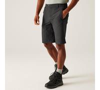 Regatta Mens Highton Long Shorts, Water Repellent & Multi Pocketed Outdoor Active Walking Shorts - Perfect for Hiking & Camping Grey