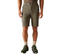 Regatta Mens Highton Shorts Long II