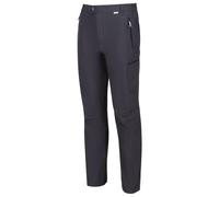 Regatta Mens Highton Stretch Active Hiking Trousers, Grey (Seal Grey), 42W/32L