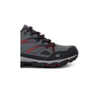Regatta Holcombe Iii Low Hiking Shoes Grey EU 43 Man