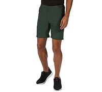 Regatta Mens Leesville II Multi Pocket Cargo Walking Shorts