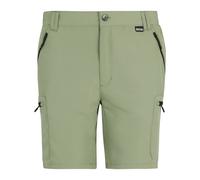 Regatta Mens Leesville III Shorts (Light Sage) - Sage Green - Size 32R
