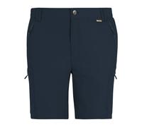 Regatta Mens Leesville III Shorts RG11406