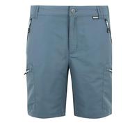 Regatta Mens Leesville Shorts III