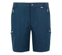 Regatta Mens Leesville Shorts III