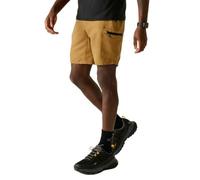 Regatta Mens Leesville Shorts III Yellow