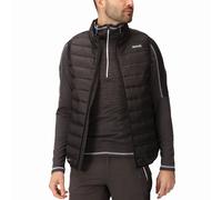 Regatta Marizion Gilet - AW24