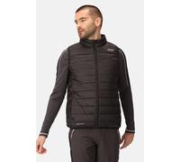 Regatta Marizion Gilet - AW24