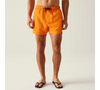 Regatta Mawson III Mens Swim Shorts