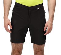 Regatta Mens Mountain II Shorts