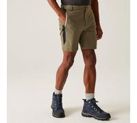 Regatta Mens Mountain II Walking Shorts