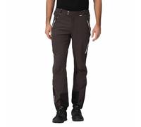 Stretch 'Mountain Winter' Walking Trousers Regatta Grey 30R