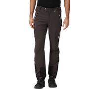 Regatta Men's Mountain Walking Trousers, Hardwearing, Water Repellent & Stretchable - Perfect for Outdoors, Walking, Hiking & Camping Grey