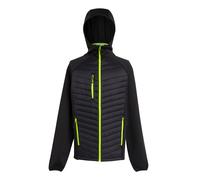 Regatta Mens Navigate Quilted Hybrid Jacket RG9341