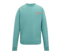 Regatta Mens Nithsdale Back Print Sweatshirt - Arctic Green - XL - Arctic Green - 60% Cotton/40% Polyester