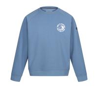 Regatta Mens Nithsdale Wave Crew Neck Sweatshirt (Coronet Blue) - Size X-Large