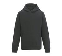 Regatta Mens Pro Trade Hoodie - Solid Grey - Solid Grey - S