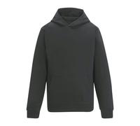 Regatta Mens Pro Trade Hoodie - Solid Grey - Solid Grey - XL
