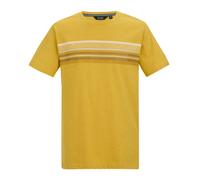Regatta Mens Rendro T-Shirt - Ceylon Yellow - L - Ceylon Yellow - 100% Cotton
