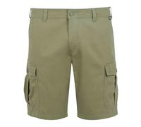 Regatta Mens Ruwan Casual Shorts - Fauna - 33R - Fauna - 100% Cotton