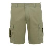 Regatta Mens Ruwan Casual Shorts RG10931