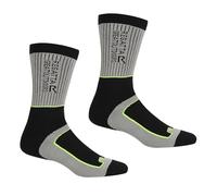 Regatta Mens Samaris 2 Season Two Pack Quickdrying Walking Socks - Steel