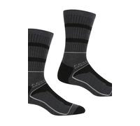 Regatta Men's Samaris 3 Season Sock in Dark Grey | Size: 6-8 Regatta Dark Grey 6-8