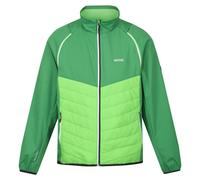 Regatta Men's Steren Hybrid Soft Shell Jacket - Field Green/Jasmine Green - Field Green/Jasmine Green - S - 100% Polyester